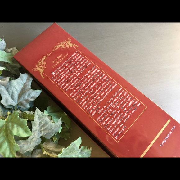 Living Gold Rose, Living Gold Real Rose - Picture 6 of 6